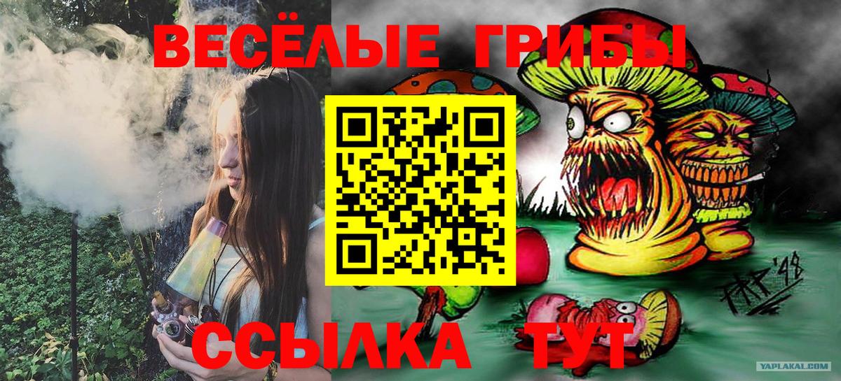 Галлюциногенные грибы MAGIC MUSHROOMS Брянск